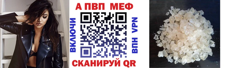 APVP СК  Майкоп 