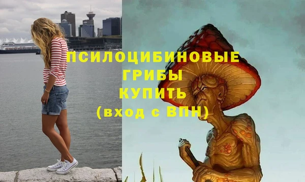 ГАЛЛЮЦИНОГЕННЫЕ ГРИБЫ Михайловск