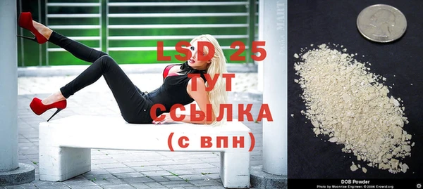 спиды Михайлов