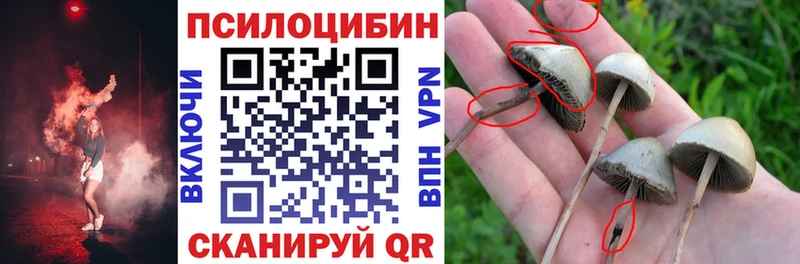 закладка  Майкоп  Псилоцибиновые грибы мухоморы 